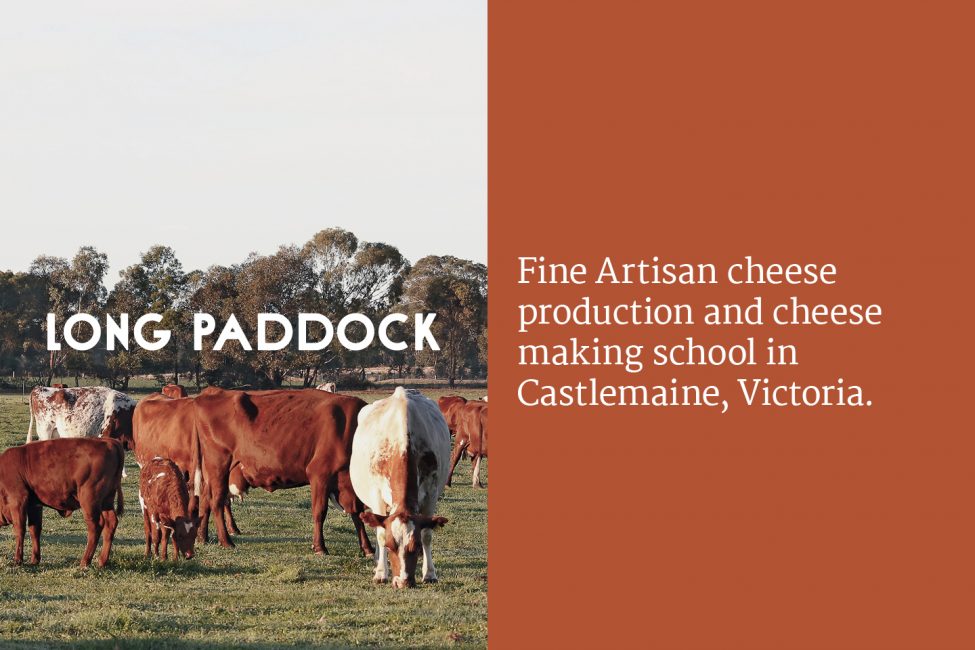 Long Paddock Cheese_ Website design by Principle Design