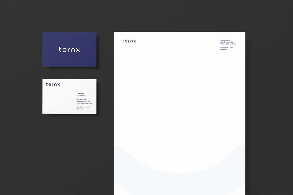 ternX business card in blue and white and letterhead