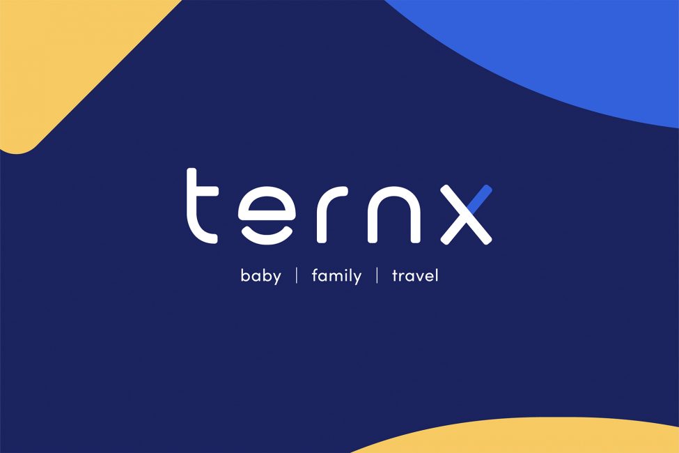 ternX logo in Blue background