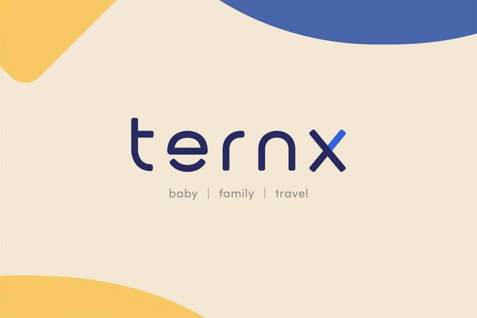 ternX logo in yellow background