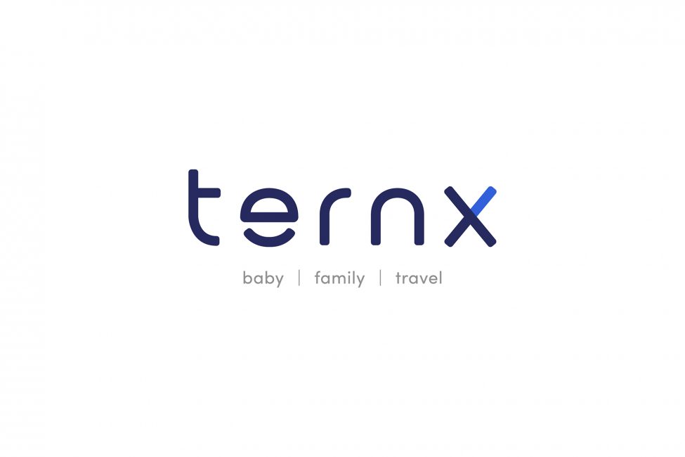 ternX logo in white background